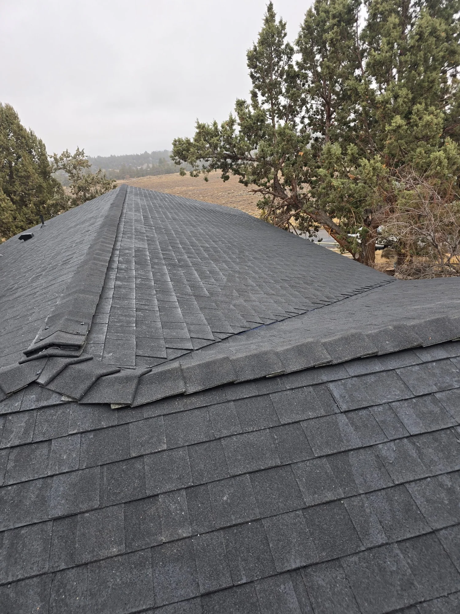 Shingle roofing with ridge detail and surrounding trees