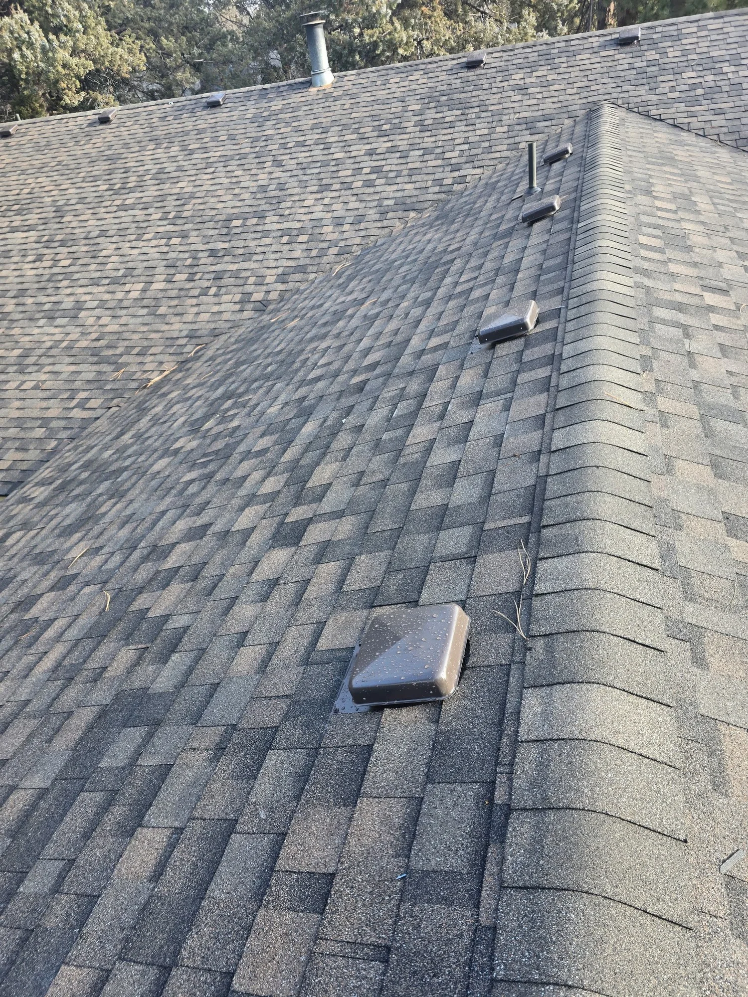 Close view of shingle roofing and roof vents